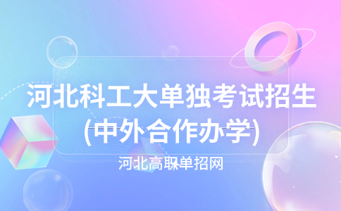 2023年河北科工大单独考试招生(中外合作办学)专业有哪些？