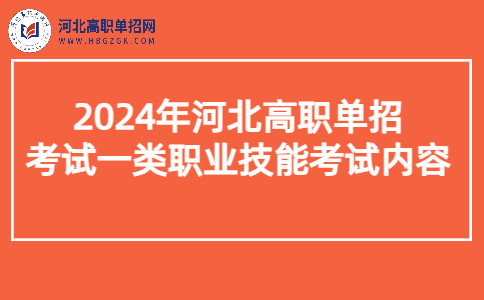 考试一类职业技能考试内容