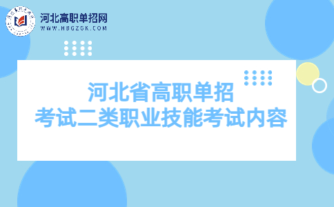 考试二类职业技能考试内容