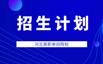 河北女子职业技术学院2024年单招招生专业及计划