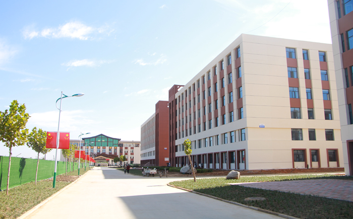 石家庄科技信息职业学院高职单招