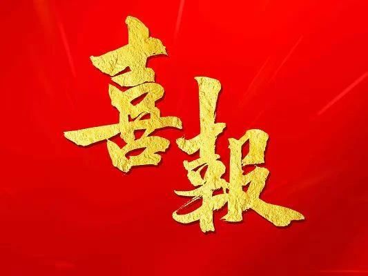 喜报：2024年廊坊卫生职业学院护士执业资格考试通过率大幅提升