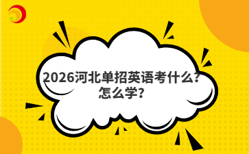 2026河北单招英语考什么？怎么学？