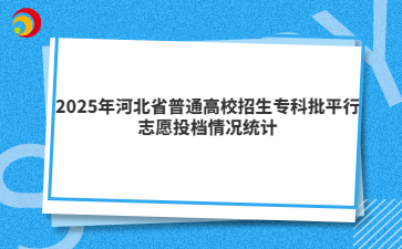 2025年河北省普通高校招生专科批平行志愿投档情况统计