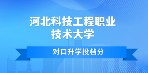 对口本科丨2025年河北科技工程职业技术大学对口本科批各专业投档最低分
