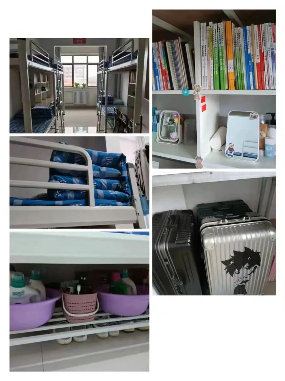 承德市高职单招院校全解析丨承德应用技术职业学院(投档分、招生计划、宿舍等全解析)