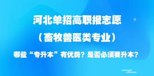 2026年河北单招志愿填报参考:畜牧兽医类“专升本”优势专业及升本必要性分析!