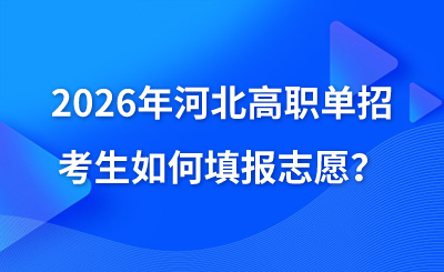 2026年河北省高职单招考生如何填报志愿？